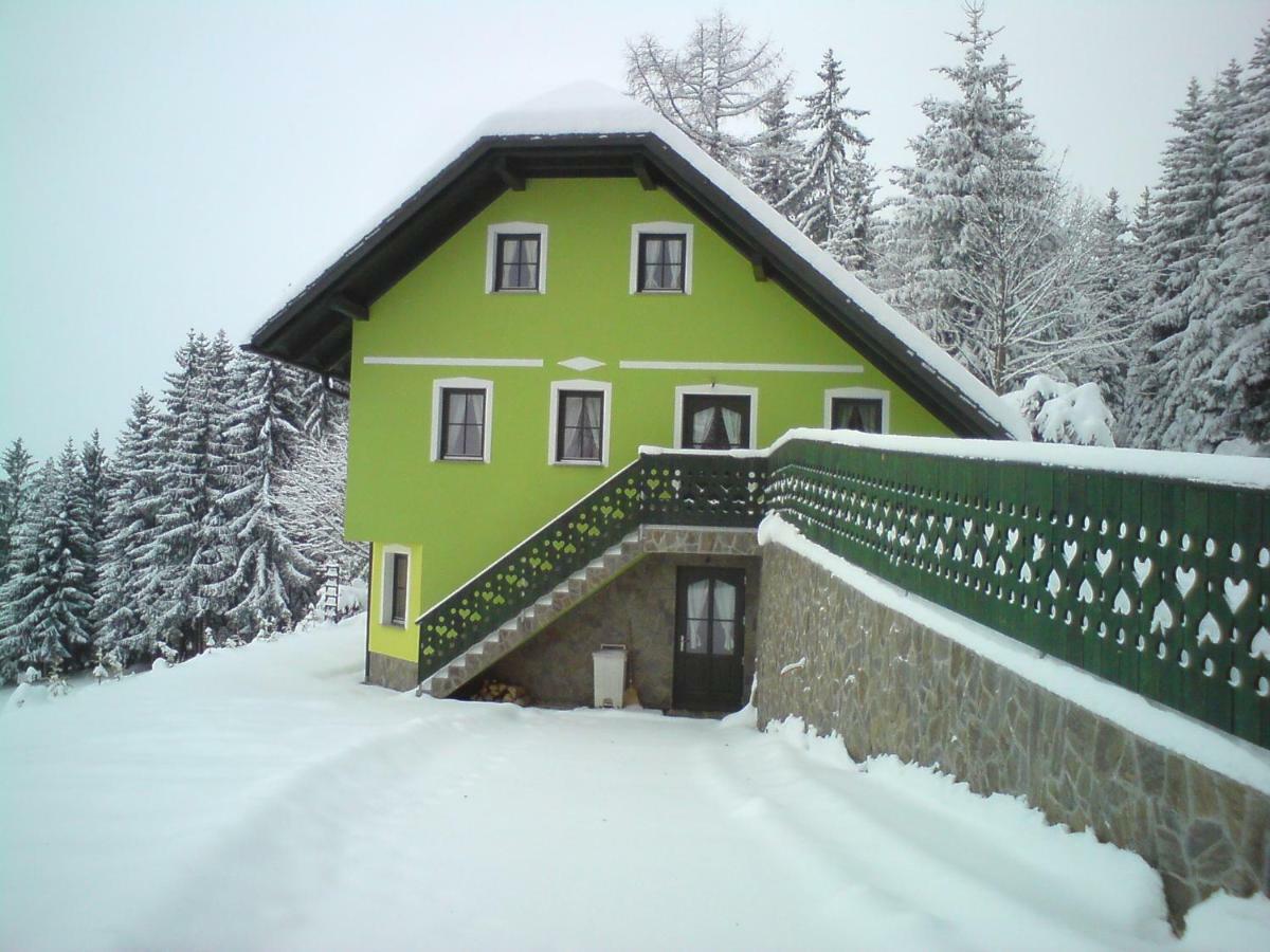 Apartment Sara Vitanje Buitenkant foto